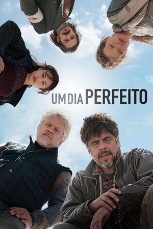 Um Dia Perfeito