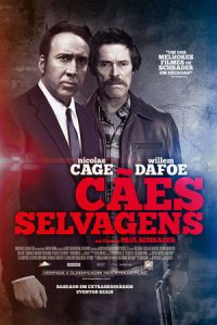 Cães Selvagens