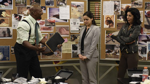 Brooklyn Nine-Nine 2×22