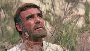 O Planeta dos Macacos