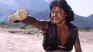 O Jovem Mestre do Kung Fu