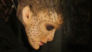 Agentes da S.H.I.E.L.D. 2×17