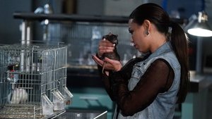 Pretty Little Liars 6×6