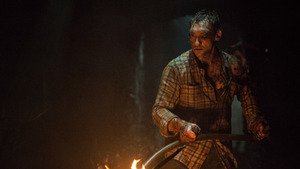 A Maldição da Floresta