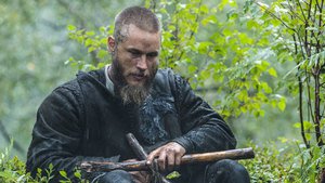 Vikings 3×6