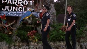 Loucademia de Polícia 5: Missão Miami Beach