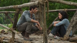 Maze Runner – Correr ou Morrer