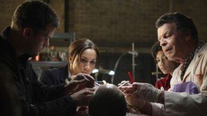 Fringe 2×1