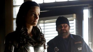 Agentes da S.H.I.E.L.D. 1×15