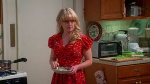 A Teoria do Big Bang  7×9