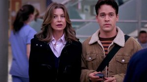 Anatomia de Grey 4×8