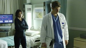 Agentes da S.H.I.E.L.D. 3×1