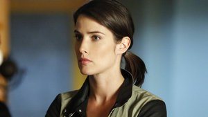 Agentes da S.H.I.E.L.D. 1×20