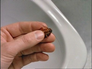 Ficheiros Secretos   3×12