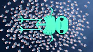 Hora de Aventura 6×7