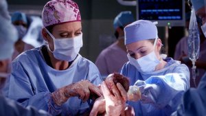 Anatomia de Grey 3×10