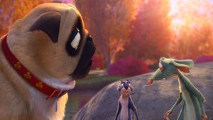 O Que Será de Nozes?