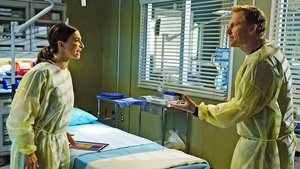 Grey’s Anatomy 13×17