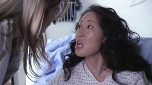 Anatomia de Grey 2×4