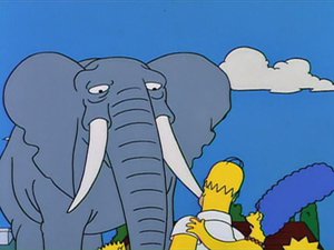 Os Simpsons 5×17
