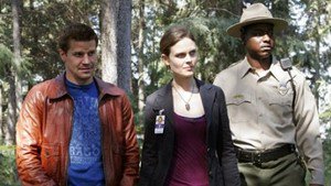 Bones 2×4
