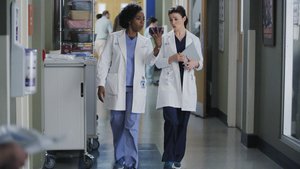 Anatomia de Grey 12×6