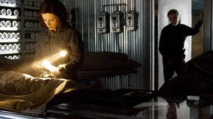 Terror na Antártida