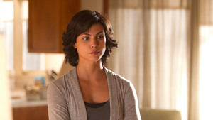 Homeland – Segurança Nacional 1×5