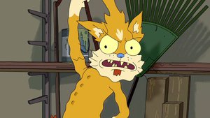 Rick and Morty 1×11