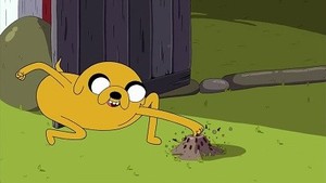 Hora de Aventura 5×3