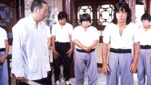 O Jovem Mestre do Kung Fu