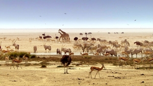 África Extraordinária