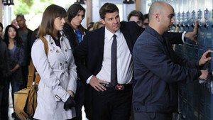 Bones 6×8