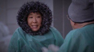 Anatomia de Grey 9×1