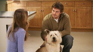 Anatomia de Grey 2×23