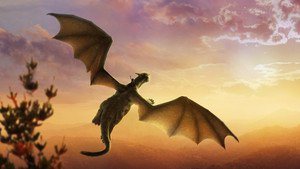 Meu Amigo, O Dragão