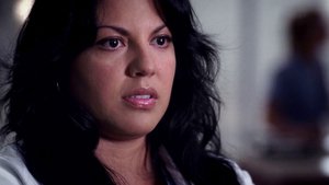 Anatomia de Grey 4×4