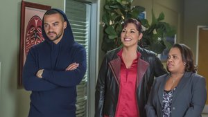 Anatomia de Grey 12×13