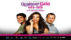 Qualquer Gato Vira-Lata