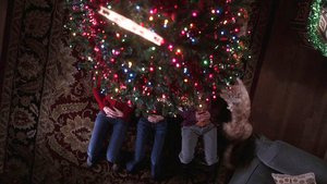 Anatomia de Grey 2×12