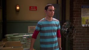 A Teoria do Big Bang  4×10