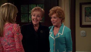 Dois Homens e Meio 9×20