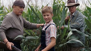 Lições Para Toda Vida