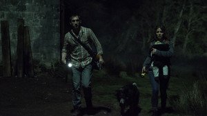 A Maldição da Floresta