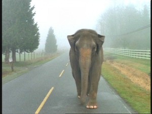 Ficheiros Secretos   2×18