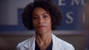 Anatomia de Grey 11×2