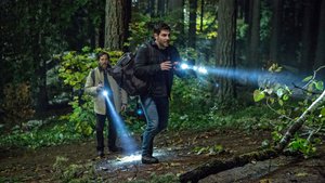 Grimm 5×11