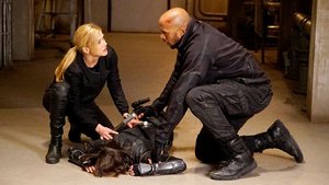 Agentes da S.H.I.E.L.D. 3×13