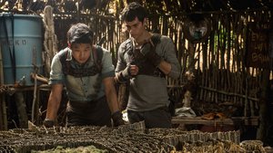 Maze Runner – Correr ou Morrer