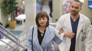 Anatomia de Grey 12×16